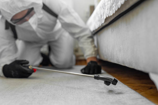 Professional Termite Control technician working in Desert Palms, CA