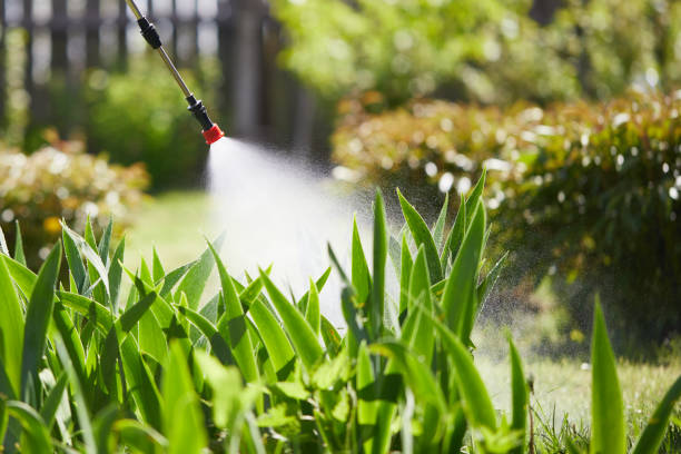 24/7 Emergency Termite Control experts in Desert Palms, CA