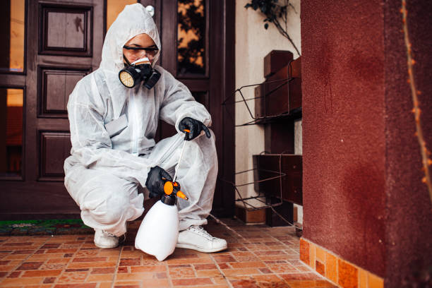 Reliable Termite Control contractor in Desert Palms, CA by Nex Pest Control